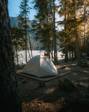 A tent pitched among the trees beside a calm mountain lake at dawn