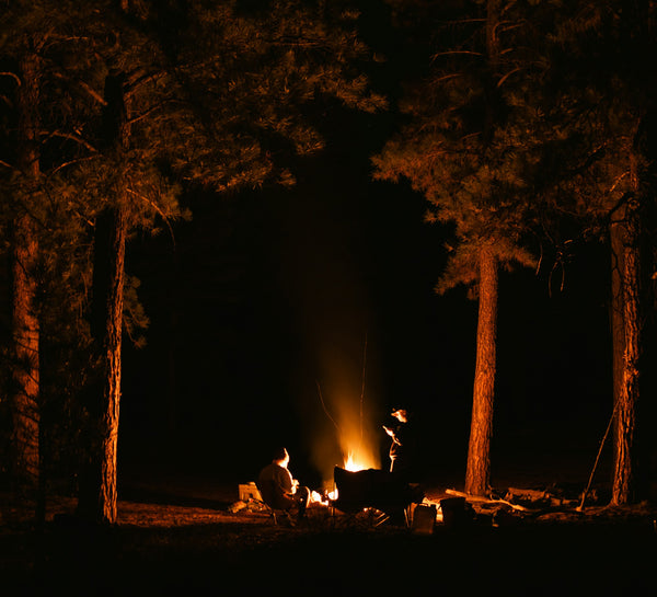 Campfire glowing brightly at night between trees in Bryce Canyon National Park, Utah