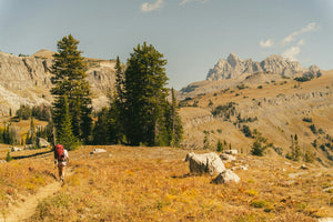 Hiker with a backpack walking a mountain trail in Grand Teton National Park