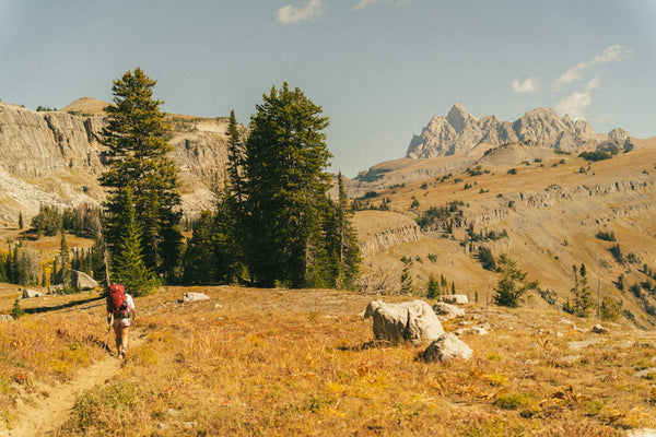 Hiker with a backpack walking a mountain trail in Grand Teton National Park